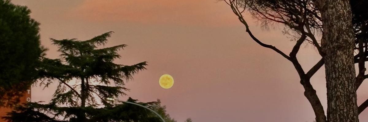AnsianteConBrio's profile banner image
