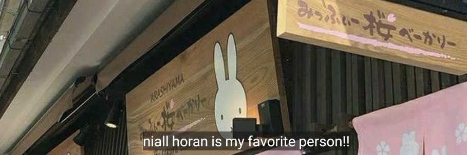 niallwcats's profile banner image