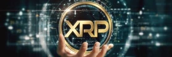 RandiHipper432's profile banner image