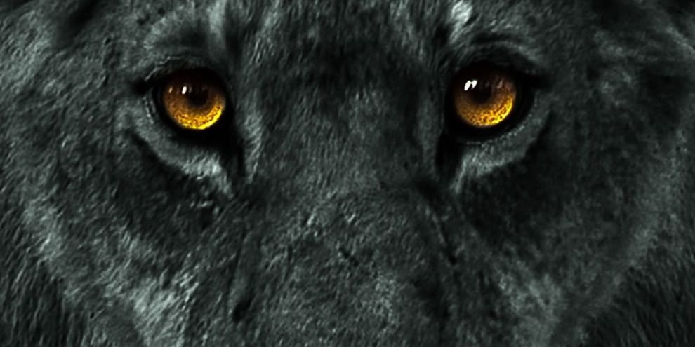 InfamousKing87's profile banner image