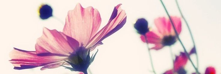 AsimMah20645705's profile banner image