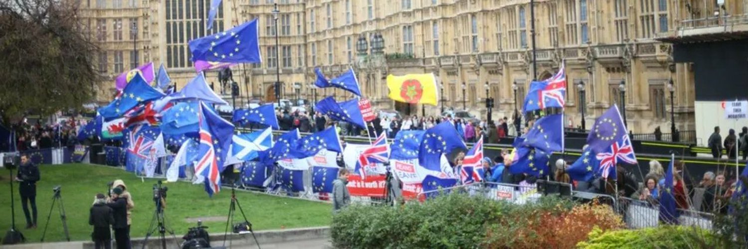 Protest4Europe #FBPE Profile Banner