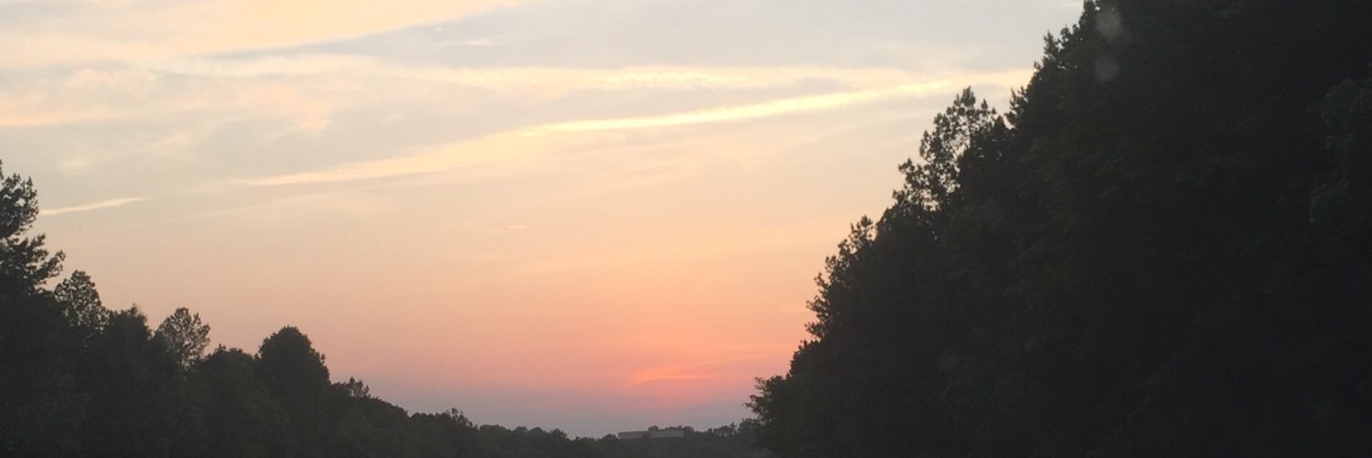 Mammalyles's profile banner image