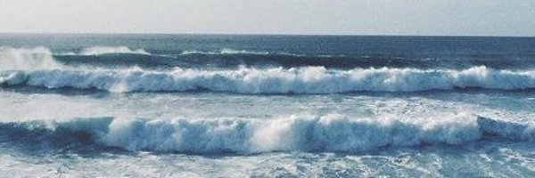 rachelebutti Profile Banner