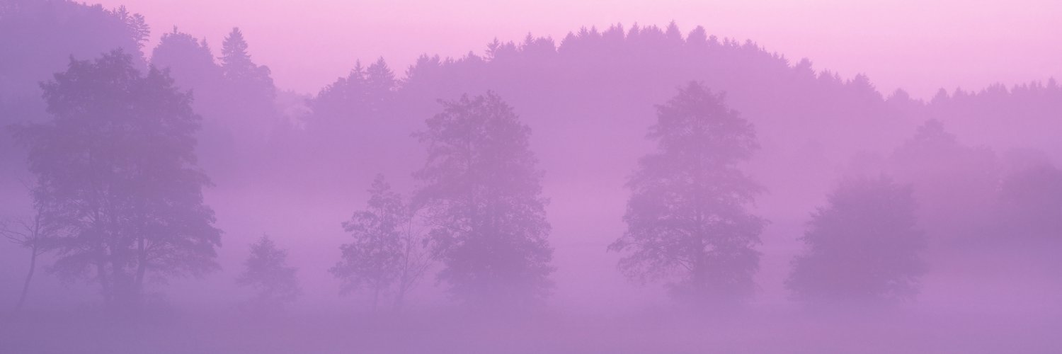 aranchaMora's profile banner image