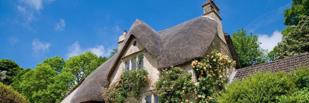 County Thatch banner