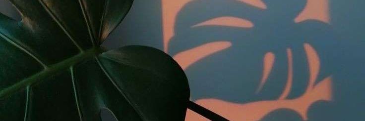 moons_wet's profile banner image