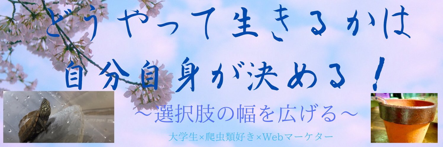 おがりん×Webマーケター×爬虫類好き banner