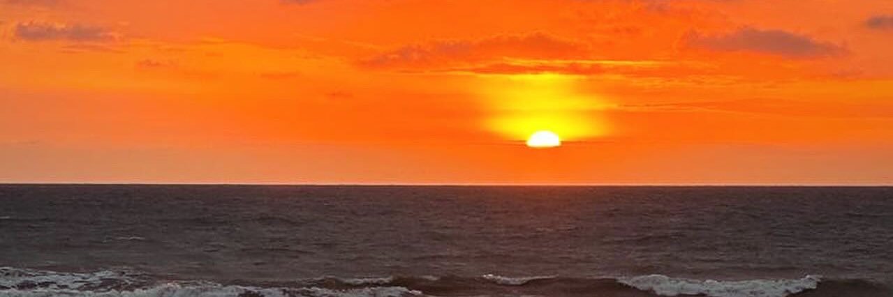 A. Núñez マリオ アンドレス banner