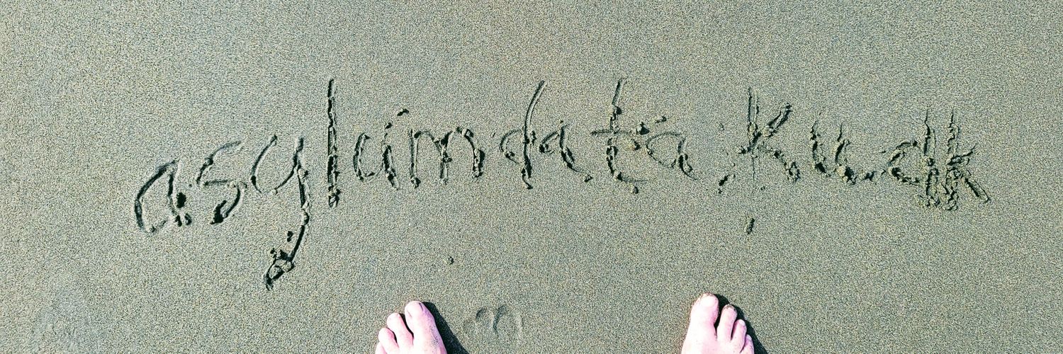 Nordic Asylum Law & Data Lab banner