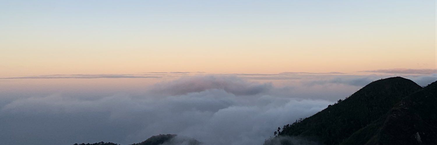 CarysLafee's profile banner image