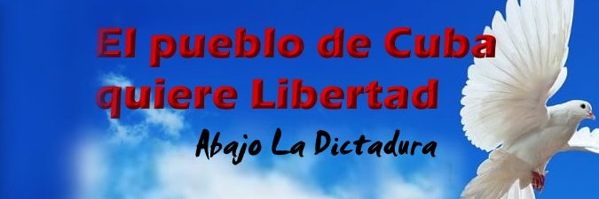 Amapola🌺🇨🇺's banner