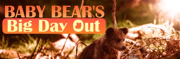Baby Bear's 🐻 Big Day Out banner
