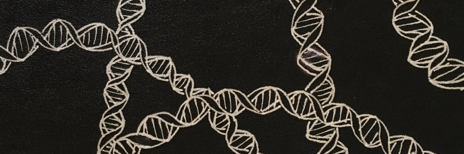 Fion Jenkinson banner