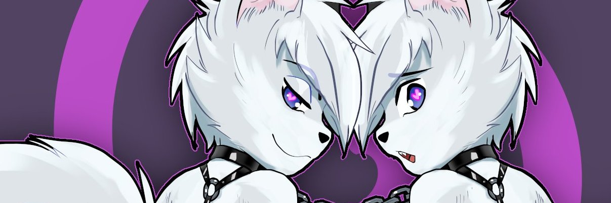 FennecAry's profile banner image