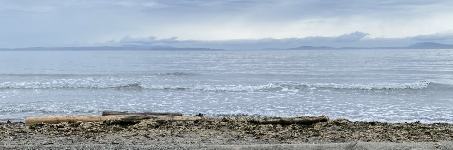 Eleah Stringer * RD banner