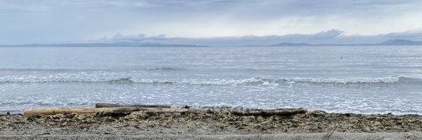 EleahStringer Profile Banner