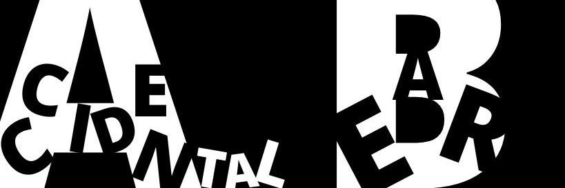 Accidental Bear banner