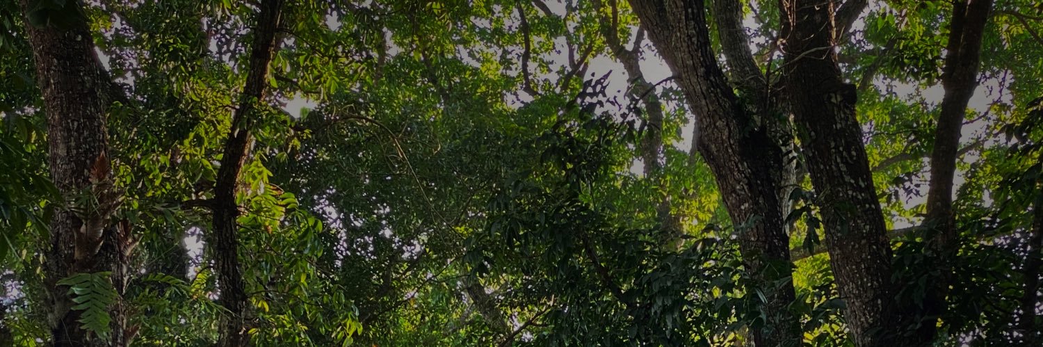 Ariphwijayanto's profile banner image
