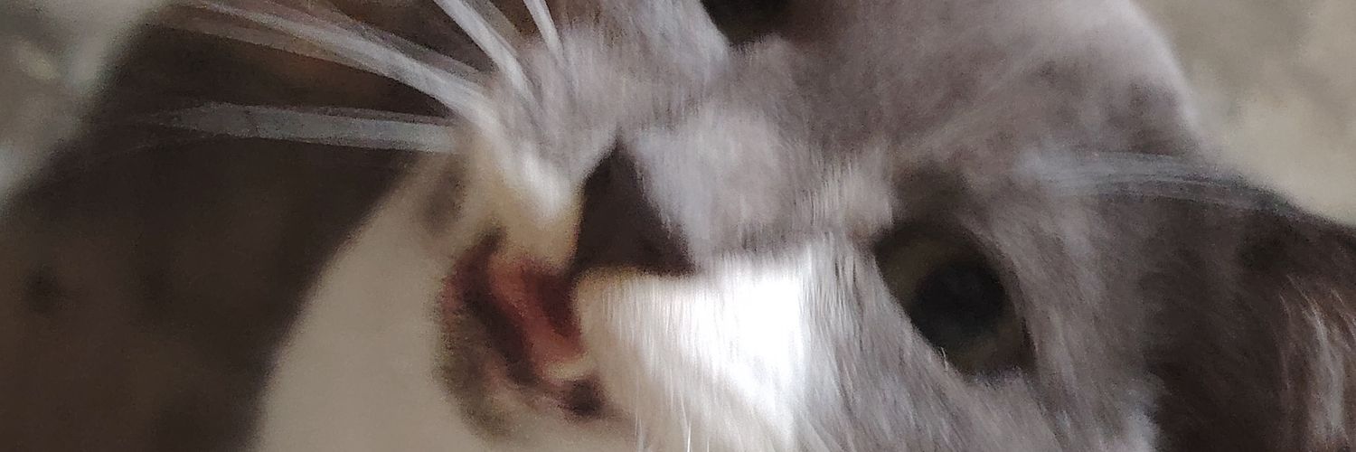 yoongwiis_'s profile banner image