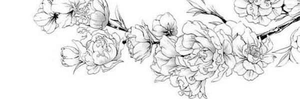 geloz12 Profile Banner