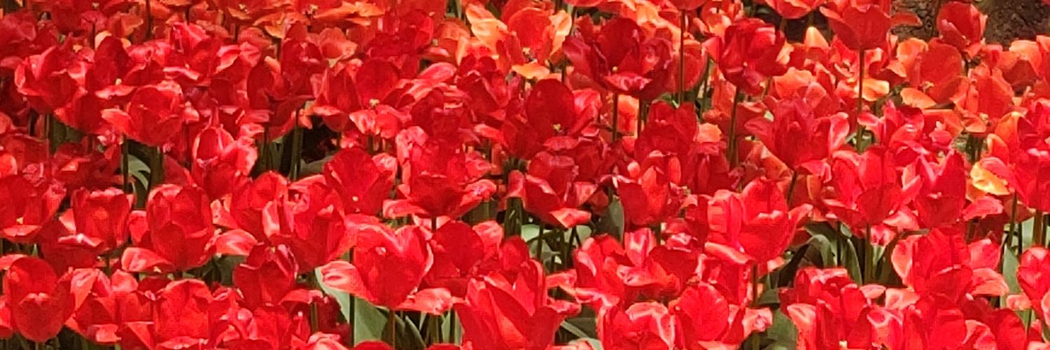 kmta392's profile banner image