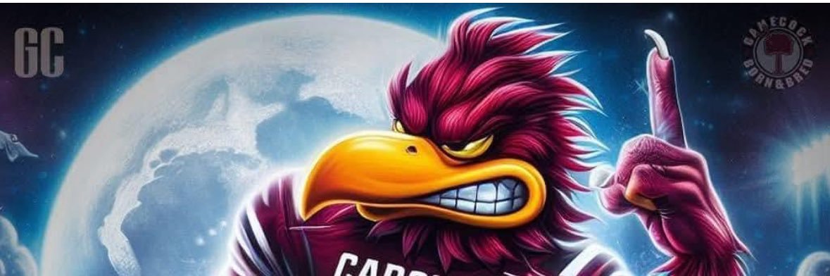 Rock Hill Random banner