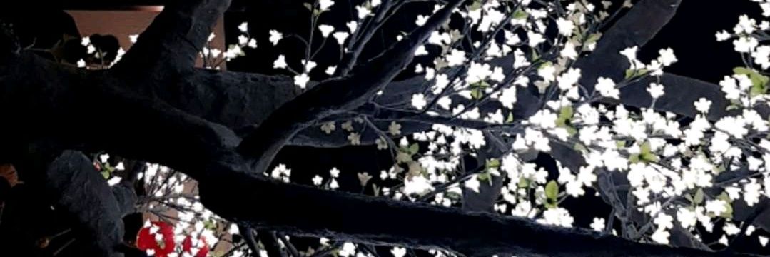 _Pakori's profile banner image