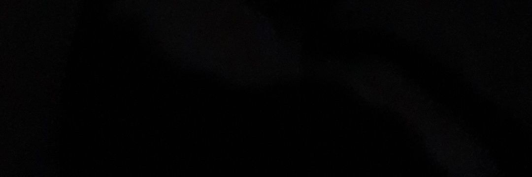 bublgnwov. banner