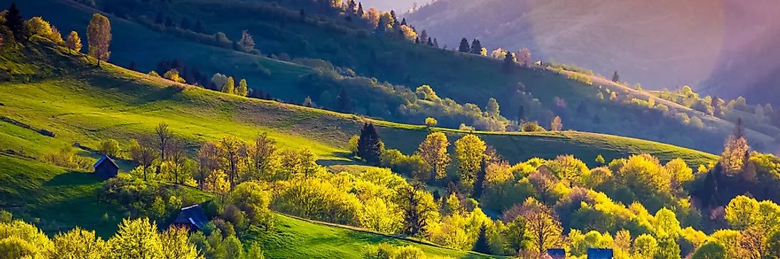 Fahad AlTamimi banner