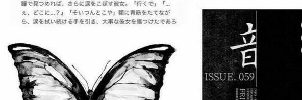 buse banner