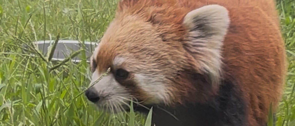 kaennu216's profile banner image