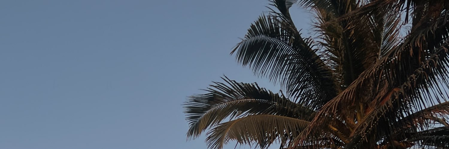 danisabido's profile banner image