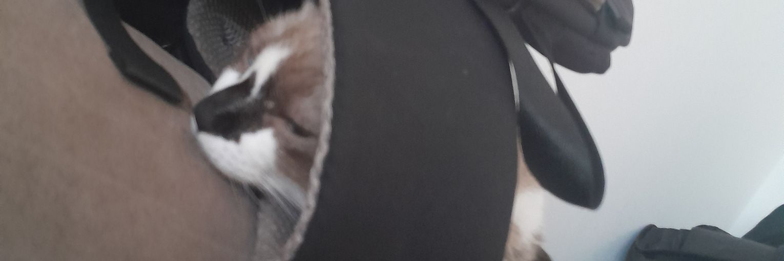 Jull1_4's profile banner image