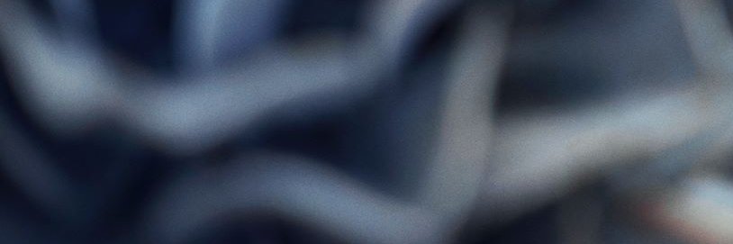 ritzystridero banner