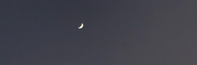 morequinonezz's profile banner image