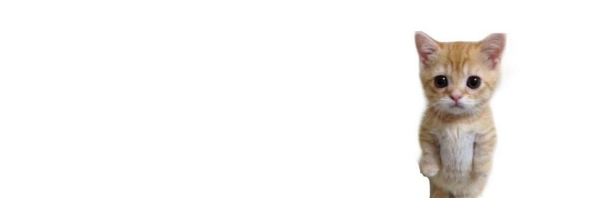 aroa ♱ banner