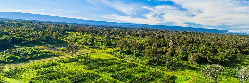 GreenwellFarms's profile banner image