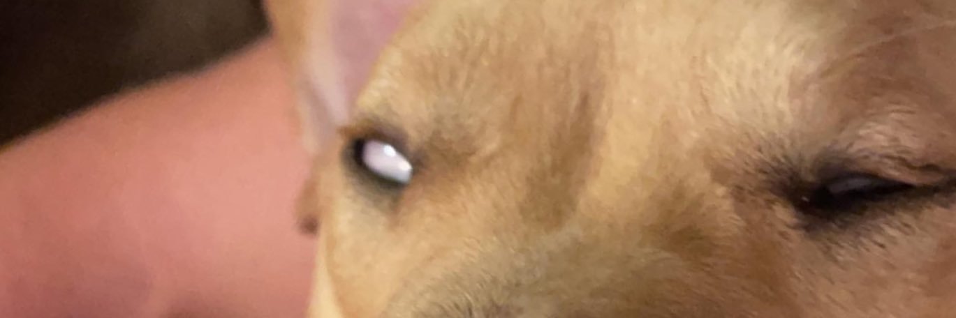 zhose27's profile banner image