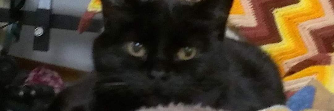 MNnerd13's profile banner image