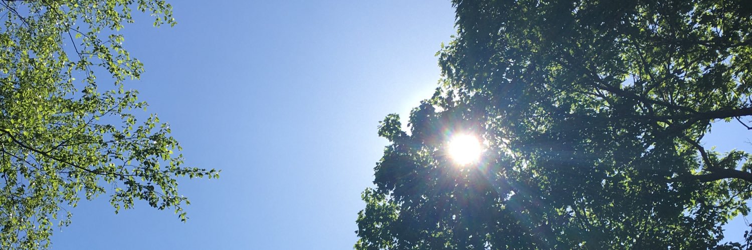 dswdsw0's profile banner image