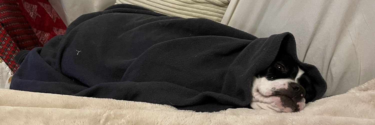 Steven Dunkelman banner