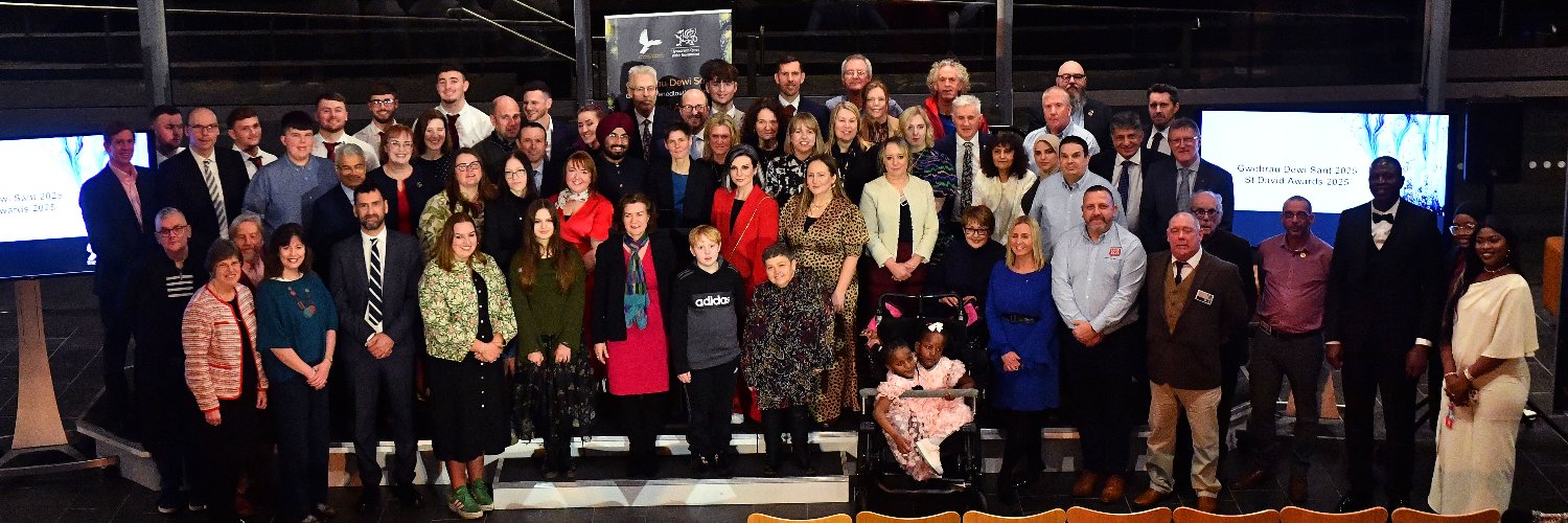 St David Awards banner