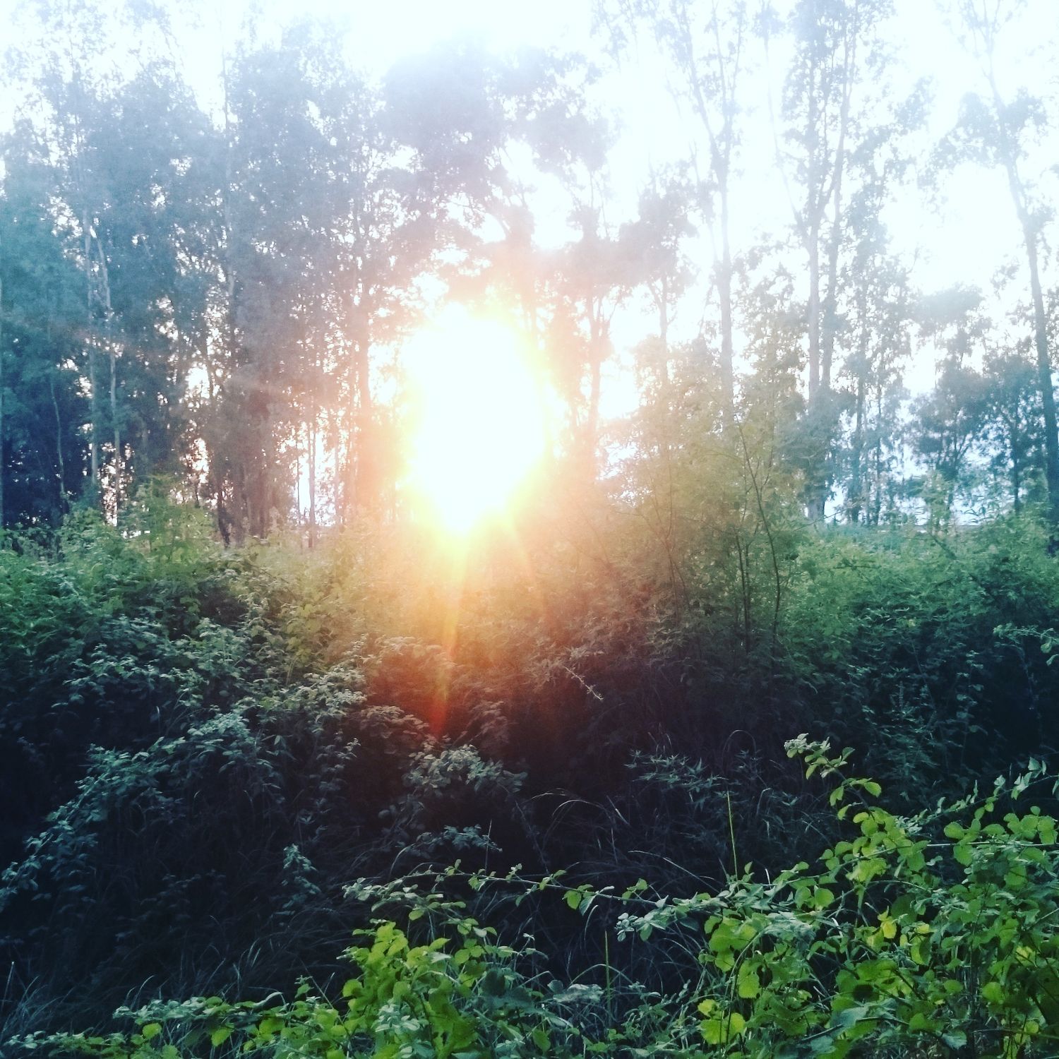 UĞUR KARAKAŞ banner