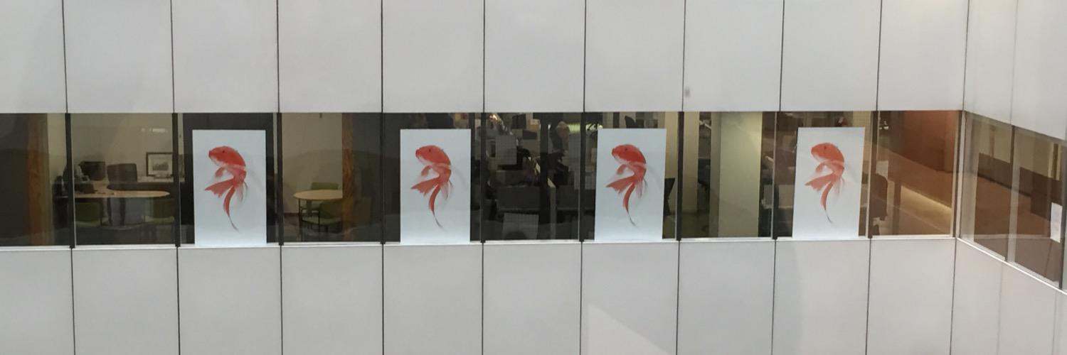 emdimatt's profile banner image