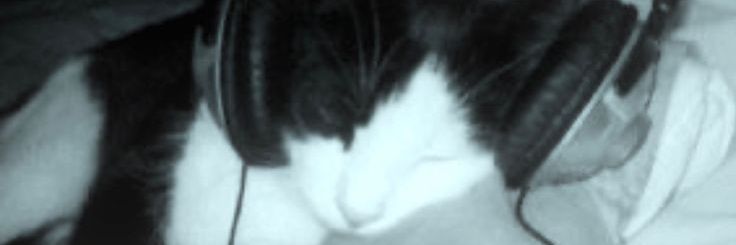 slafyy0's profile banner image