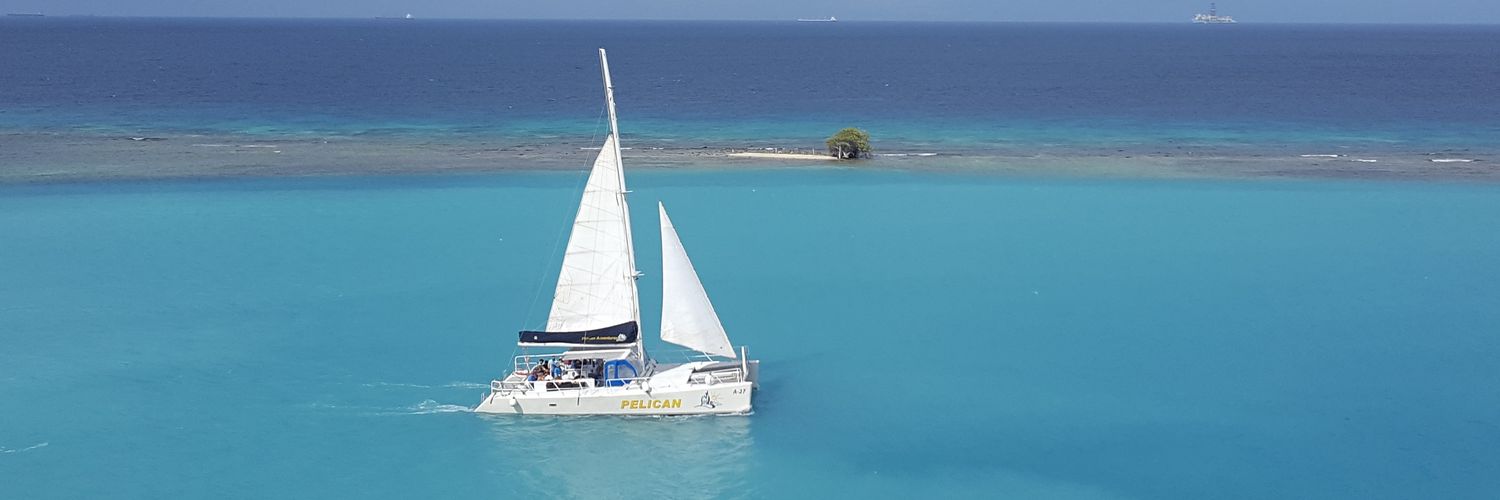 Lisa Michelle 🍀 banner