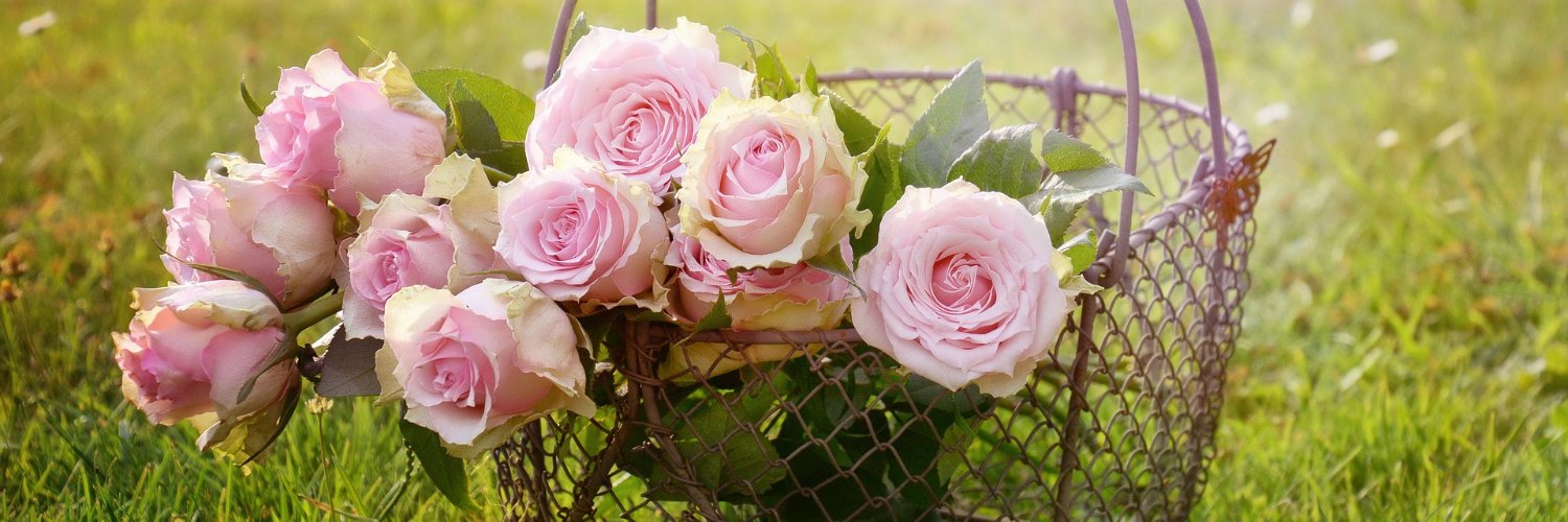 rose_rosecat's profile banner image