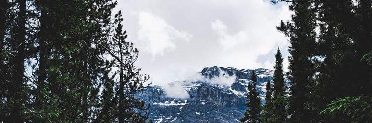 alliegraced's profile banner image
