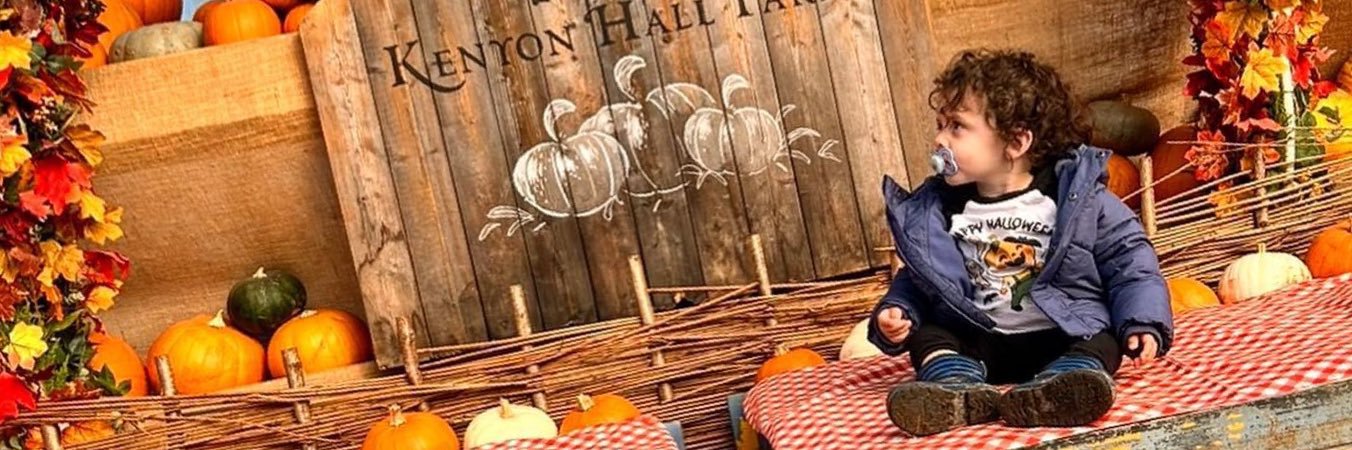 thereselite's profile banner image